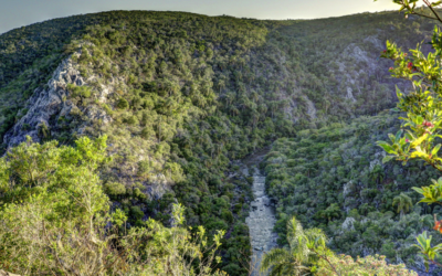 Reservas naturales de Uruguay: Lugares imperdibles para conectar con la naturaleza