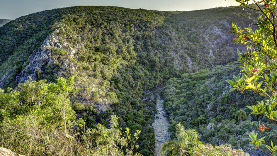 Reservas naturales de Uruguay: Lugares imperdibles para conectar con la naturaleza